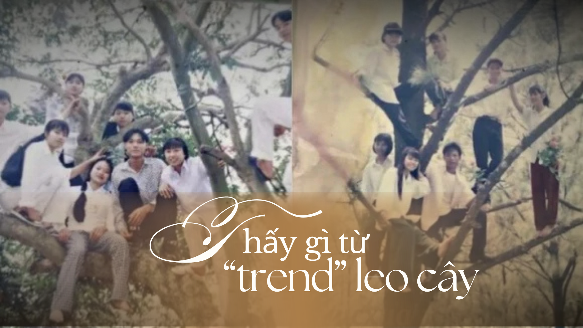 Thấy gì từ “trend” leo cây?